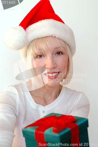 Image of Mrs Santa