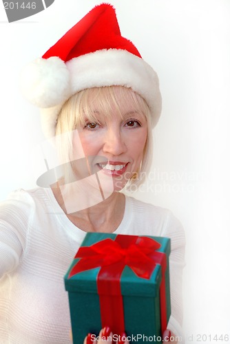 Image of Mrs Santa