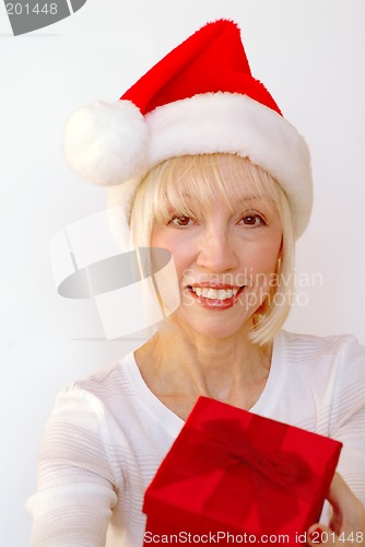 Image of Mrs Santa