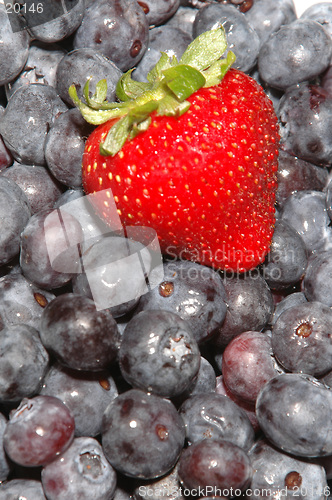 Image of canteloupe, blueberries and strawberries