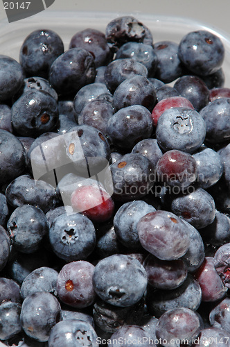 Image of blueberries