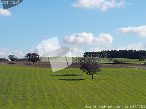 Image of green meadow and field , autumn