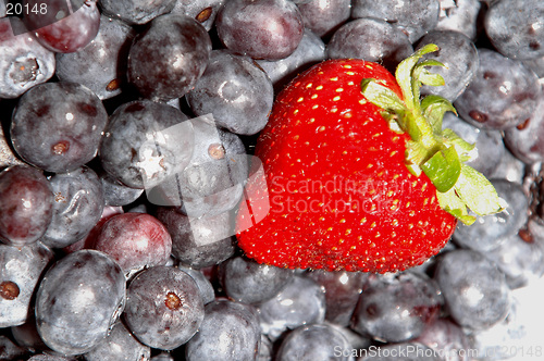 Image of blueberries strawberries