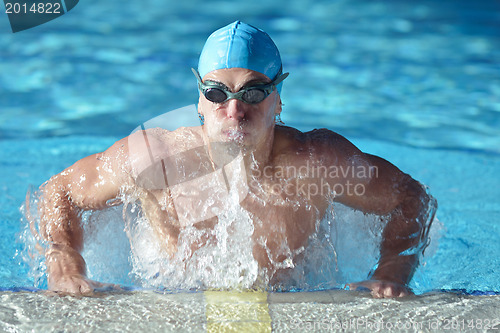 Image of swimmer