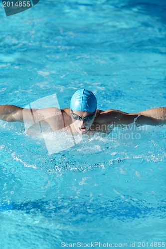 Image of swimmer