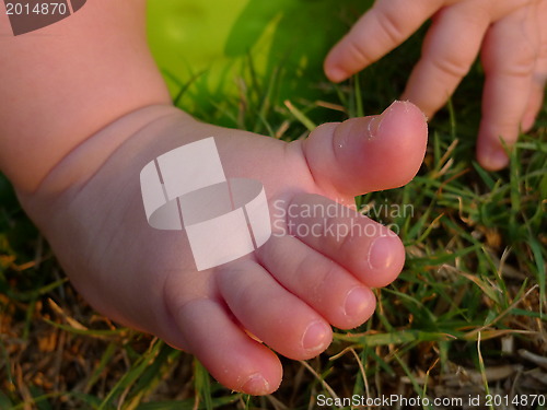 Image of tiny foot