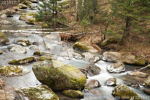 Image of Belokurikha river.