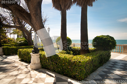Image of Palm trees and conifers in Cadiz