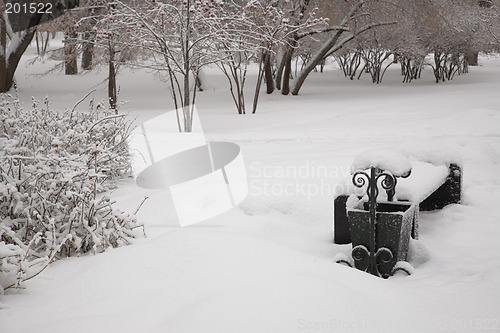 Image of After snowstorm