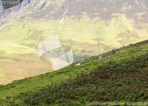 Image of Newlands Pass in Lake District in England