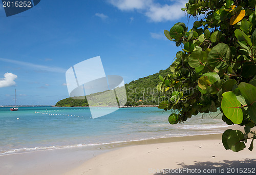 Image of Glorious beach at Anse Marcel on St Martin