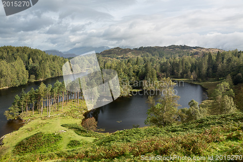 Image of View over Tarn Hows in English Lake District