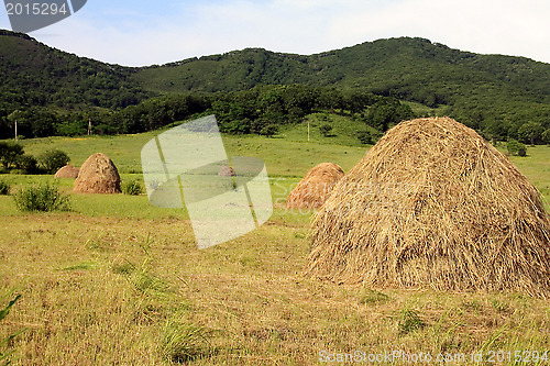 Image of The dry grass combined on storage