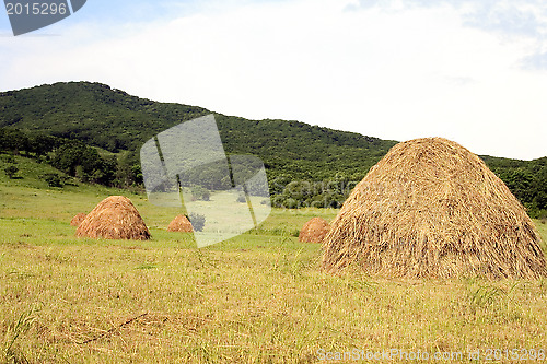 Image of The dry grass combined on storage