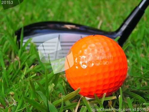 Image of Golf