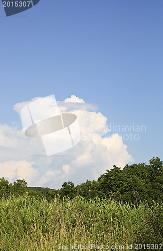 Image of Landscape with a cloud