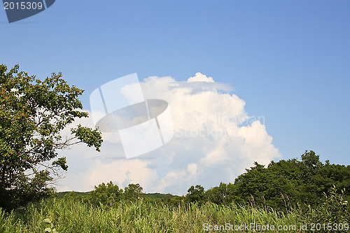 Image of Landscape with a cloud