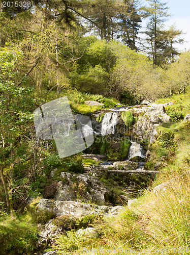 Image of Small cascades at head of Pistyll Rhaeadr