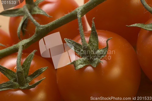 Image of tomato