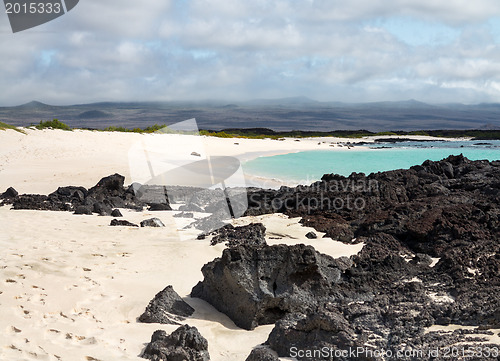 Image of Volcanic rock lines beach in Galapagos