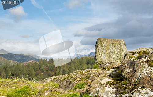 Image of View over Tarn Hows in English Lake District