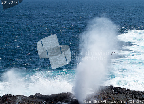 Image of Blowhole at Suarez Point on Galapagos