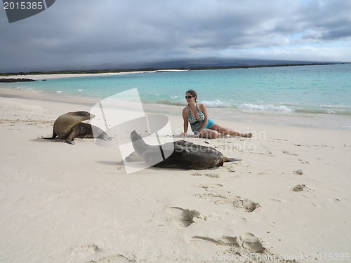 Image of Woman tourist lays among seals on beach