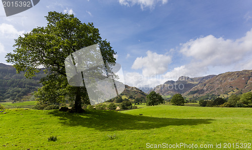 Image of Langdale Pikes in Lake District