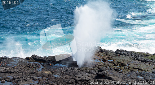 Image of Blowhole at Suarez Point on Galapagos