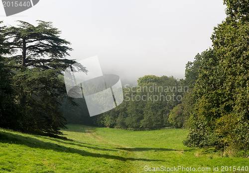 Image of Rural scene in Cotswolds with fog