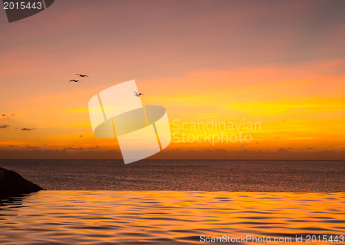 Image of Infinity edge pool with sea underneath sunset