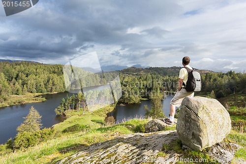 Image of View over Tarn Hows in English Lake District