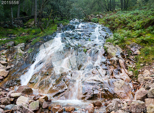 Image of Sour milk gill by Buttermere in Lake District