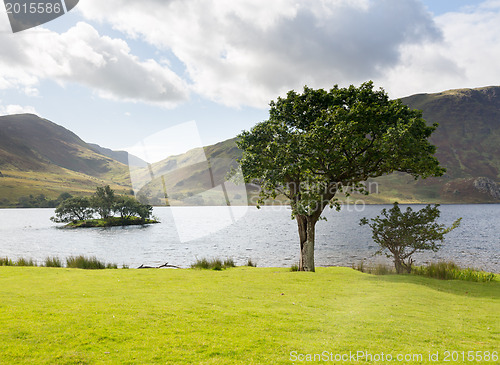 Image of View over Crummock Water in Lake District