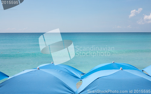 Image of Four beach umbrellas on beach