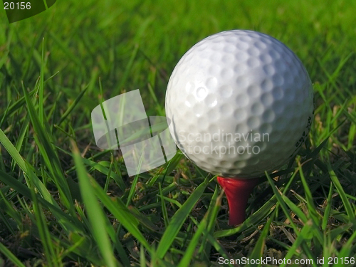 Image of Golf Ball