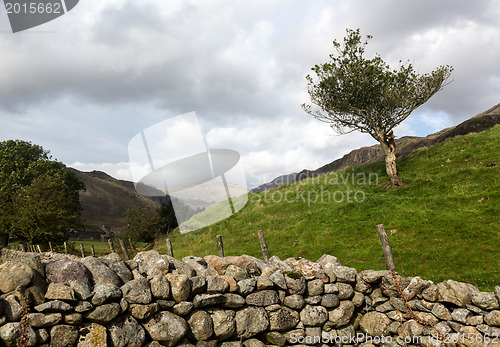 Image of Old stone wall in Lake District