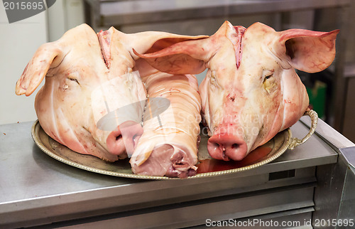 Image of Two pigs heads on tray at butcher shop
