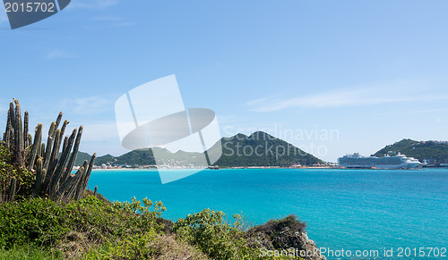 Image of Pipe cactus frames view of Philipsburg