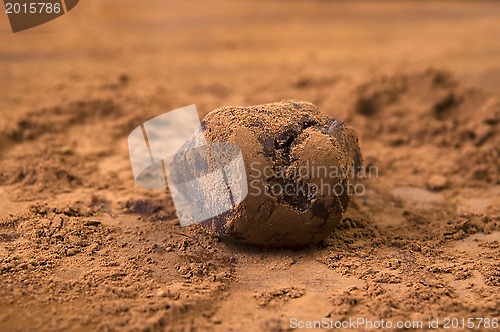 Image of Homemade chocolate truffles