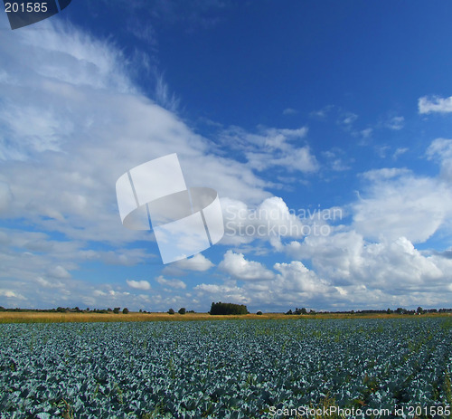 Image of Beautiful clouds and blue sky