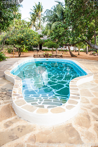 Image of Swimming pool in African Garden