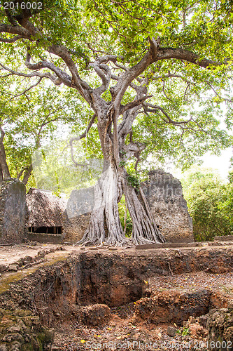 Image of Gede Ruins