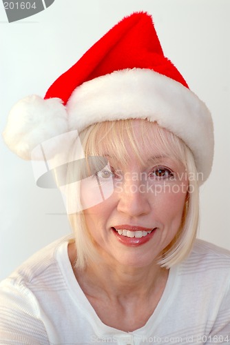 Image of Mrs Santa