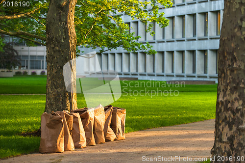 Image of Recycling yard waste paper bags