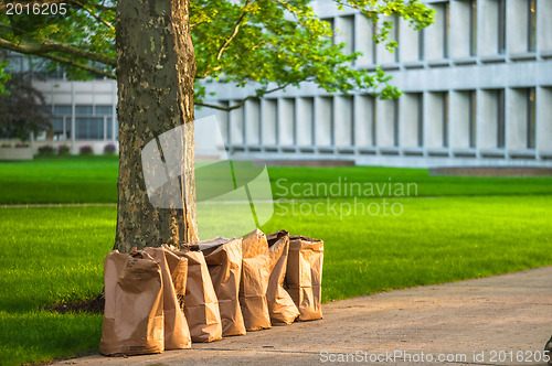 Image of Recycling yard waste paper bags