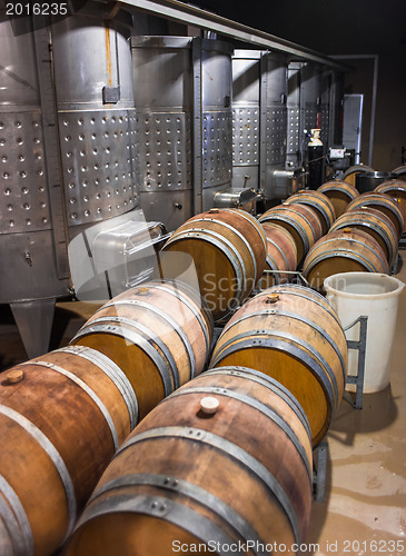 Image of Barrels of South African wine