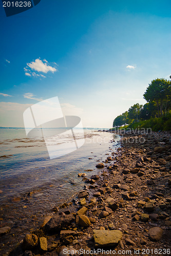 Image of Beach