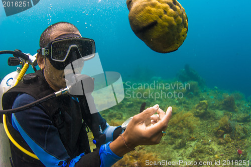 Image of Scuba diver holding sea cucumber