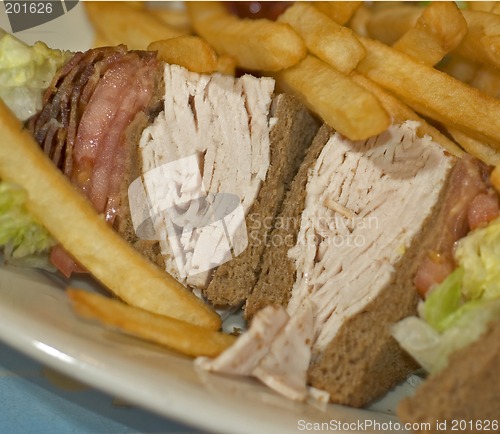 Image of turkey club sandwich with fries